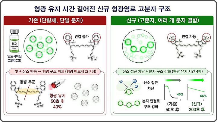 [대전=뉴시스] 화학연구원이 만든 근적외선 고분자(KR-NIR-P)의 화학구조 및 광안정성 개선 효과.(사진=화학연구원 제공) *재판매 및 DB 금지
