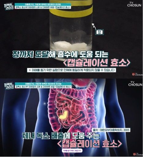 [서울=뉴시스] '캡슐레이션 공법'을 적용한 효소는 위산을 통과해 장까지 안전하게 도달하여 음식물 분해와 체내 독소 배출을 돕는 역할을 한다. (사진 출처='TVCHOSUN - TV조선' 캡처)