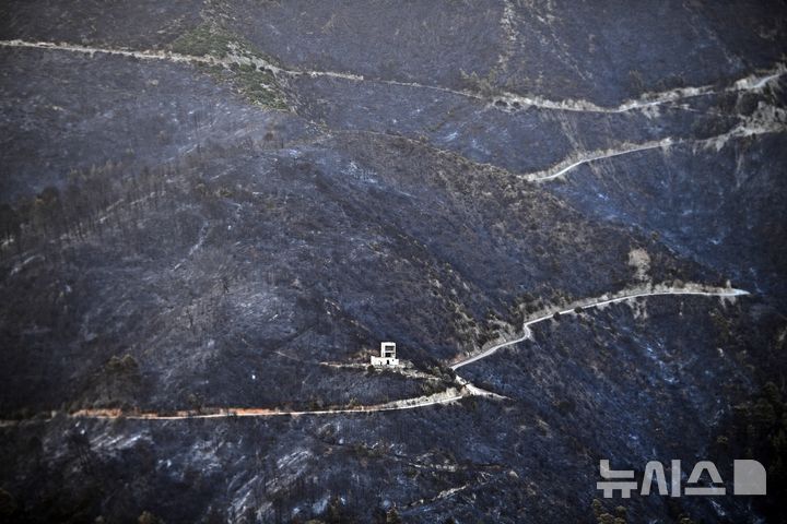  [알제= AP/뉴시스] 알제리 산불로 7월 19일 검게 타버린 함맘 멜루안 산간 마을에서 도로만 하얗게 남아 있는 광경. 2026.07.22. 