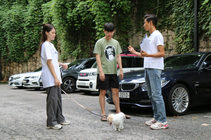 [서울=뉴시스] 강남구 반려견 행동교정 아카데미 교육 모습. (사진=강남구 제공) 2026.07.19. photo@newsis.com *재판매 및 DB 금지