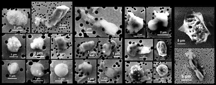 인천지역 대기를 떠다니는 미세플라스틱. (사진=인하대 제공) 2026.07.20. photo@newsis.com *재판매 및 DB 금지