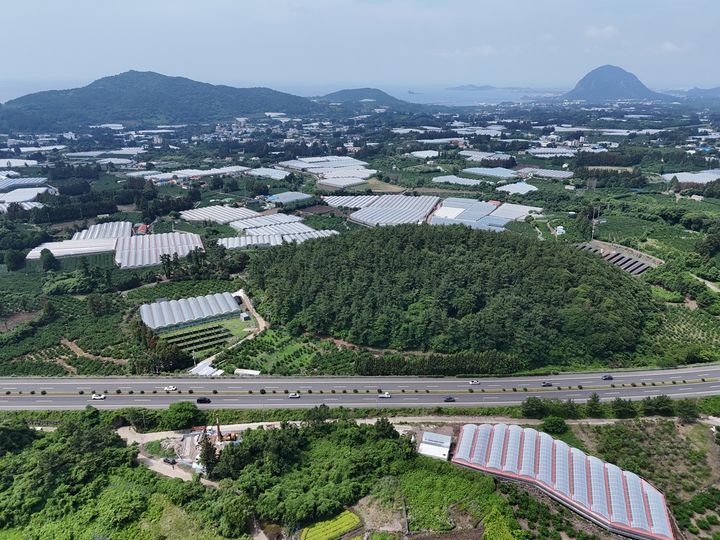 [제주=뉴시스] 서귀포시 상예동 더데오름 인근 고심도 시추공 조사 결과 최소 360m 규모로 추정되는 조면암질 용암돔의 흔적이 확인됐다. 사진은 더데오름 원경. (사진=제주도 제공) 2026.07.20. photo@newsis.com *재판매 및 DB 금지