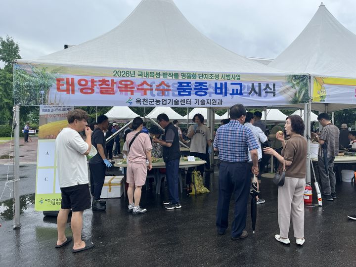 향수옥천 옥수수감자축제 *재판매 및 DB 금지
