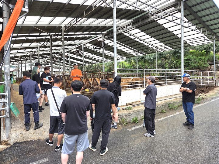 [횡성=뉴시스] 횡성한우 승계농 연구회원들이 선진농가에서 사료비 절감과 사양관리 기술 향상을 위한 현장교육에 참여하고 있다. (사진=횡성군 제공) 2026.07.21. photo@newsis.com *재판매 및 DB 금지