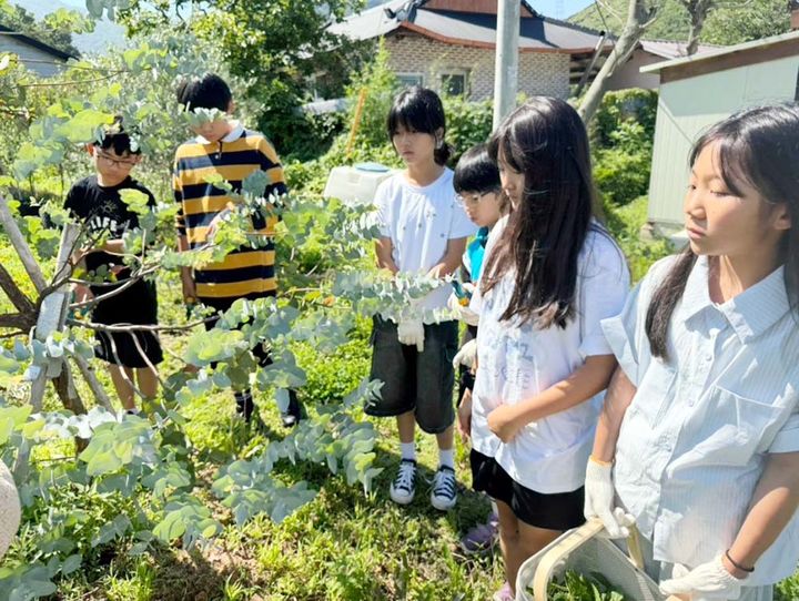 [해남=뉴시스]'정주형 농촌유학' 프로그램에 참여하고 있는 학생들. (사진=해남군 제공) 2026.07.21. photo@newsis.com *재판매 및 DB 금지