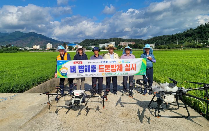 [울산=뉴시스] 울산 온양농협(조합장 전병철)은 본격적인 벼 병해충 발생 시기를 맞아 벼 병해충 드론 방제를 한다고 21일 밝혔다. (사진= 온양농협 제공) 2026.07.21.photo@newsis.com *재판매 및 DB 금지