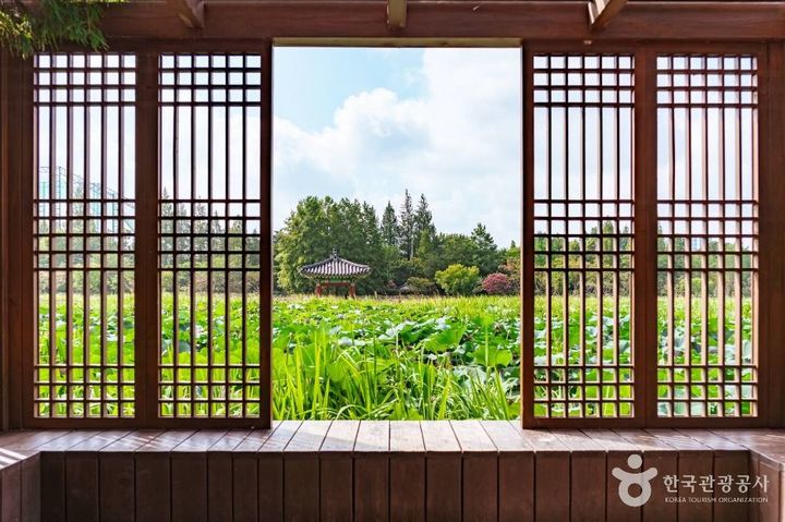 전북 전주시 ‘덕진공원’ 내 ‘연화정도서관’에서 바라본 ‘덕진호’의 연꽃. (사진=한국관광공사 제공) *재판매 및 DB 금지