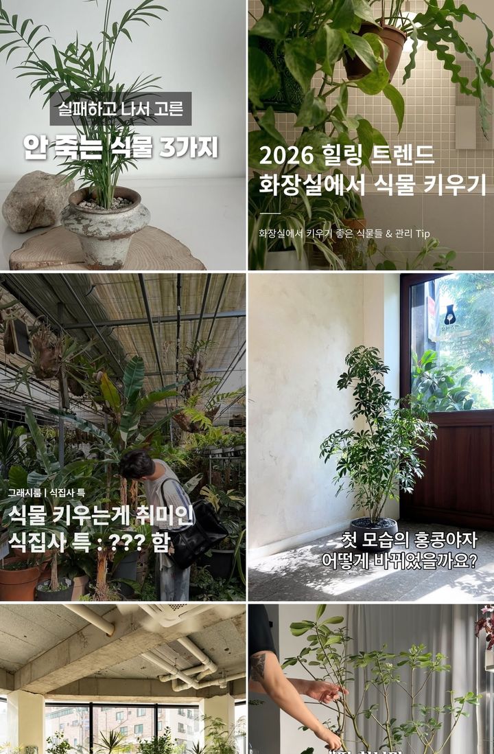 사진 인스타그램 캡처 *재판매 및 DB 금지