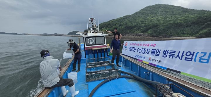 감성돔·꽃게·넙치…수산종자 160만 마리 부안 해역 방류