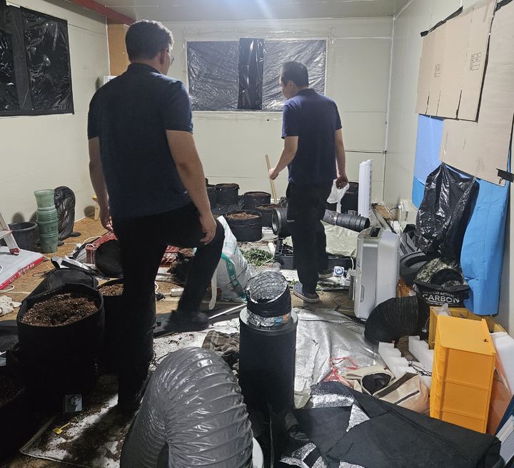 [수원=뉴시스] 대마 재배가 이뤄진 공장 현장. (사진=마약범죄 정부합동수사본부 제공) 2026.07.22. photo@newsis.com *재판매 및 DB 금지