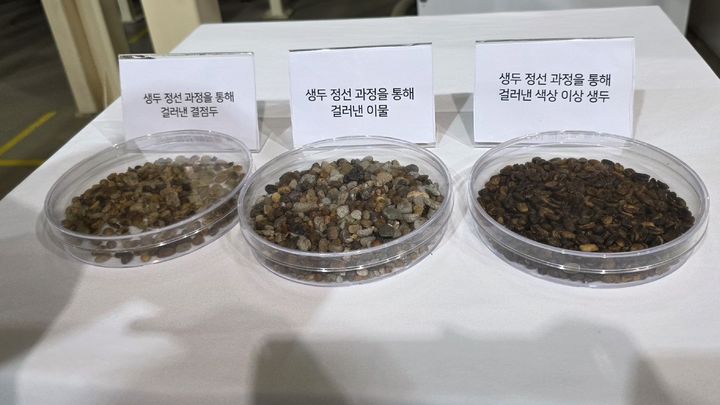 [음성=뉴시스] 이주혜 기자 = 충북 음성 투썸플레이스 어썸 페어링 플랜트에 정선 과정을 통해 걸러낸 생두가 전시돼 있다. 2026.07.22. *재판매 및 DB 금지