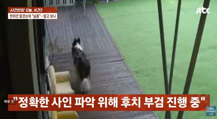 [서울=뉴시스] 견주의 출장으로 애견호텔에 맡겨진 반려견이 숨진 채 발견되는 비극적인 사연이 JTBC '사건반장'을 통해 보도됐다. (사진=유튜브 'JTBC' 캡처)