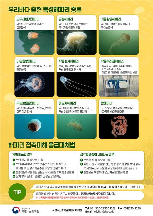 [부산=뉴시스] 독성해파리 종류 및 접촉 피해 대처법. (사진=국립수산과학원 제공) 2026.07.23. photo@newsis.com *재판매 및 DB 금지