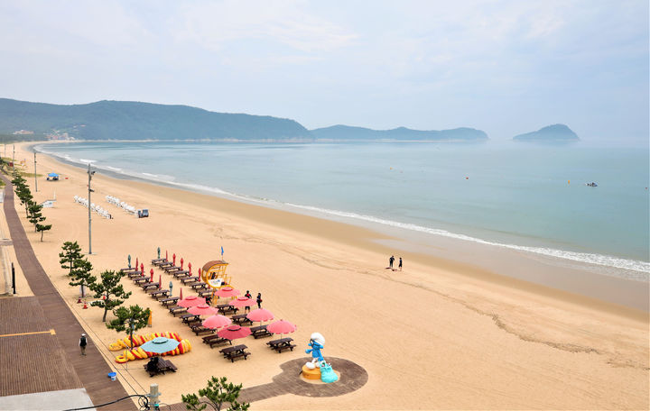 [전남광주=뉴시스] 전남광주통합특별시 완도 명사십리해수욕장. (사진=전남광주특별시청 제공). photo@newsis.com *재판매 및 DB 금지
