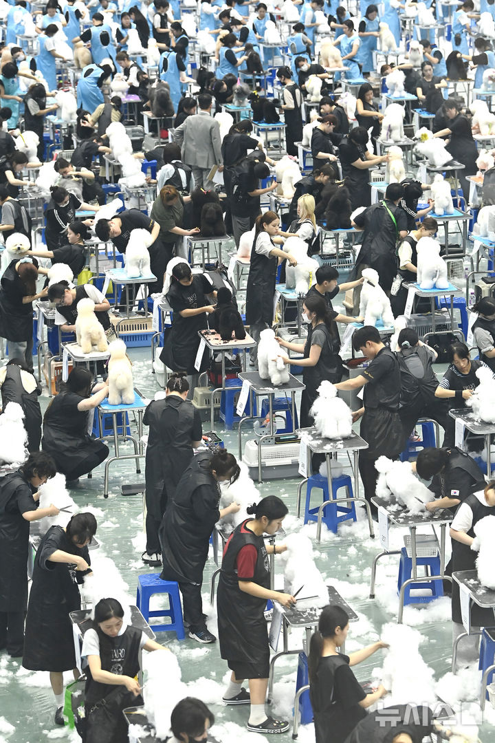 [수원=뉴시스] 김종택 기자 = 한국애견연맹 주최로 23일 경기 수원시 권선구 수원메쎄에서 열린 제118회 KKF 전국 애견미용 콘테스트에서 참가자들이 애견 미용 실력을 선보이고 있다. 2026.07.23. jtk@newsis.com