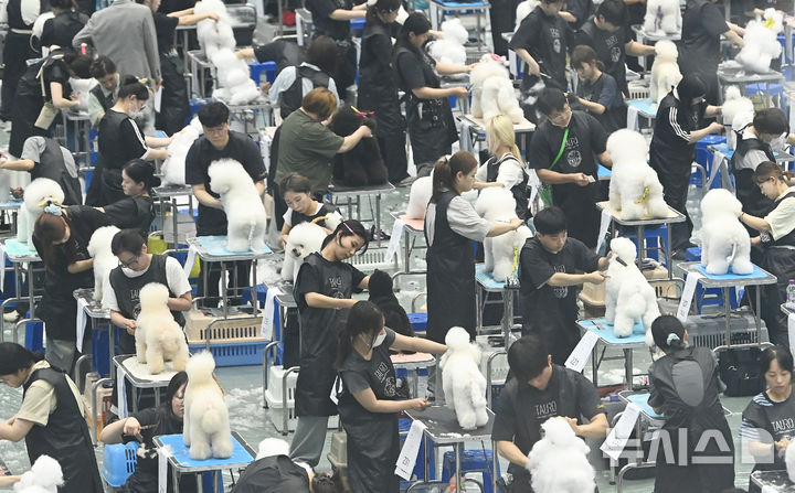 [수원=뉴시스] 김종택 기자 = 한국애견연맹 주최로 23일 경기 수원시 권선구 수원메쎄에서 열린 제118회 KKF 전국 애견미용 콘테스트에서 참가자들이 애견 미용 실력을 선보이고 있다. 2026.07.23. jtk@newsis.com