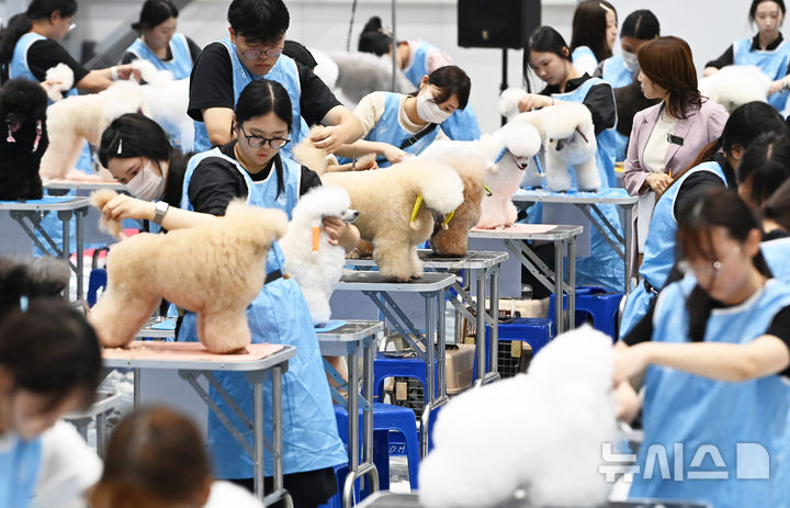 [수원=뉴시스] 김종택 기자 = 한국애견연맹 주최로 23일 경기 수원시 권선구 수원메쎄에서 열린 제118회 KKF 전국 애견미용 콘테스트에서 참가자들이 애견 미용 실력을 선보이고 있다. 2026.07.23. jtk@newsis.com