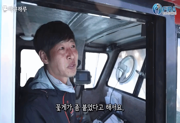 한국수산자원공단 갈무리 *재판매 및 DB 금지 *재판매 및 DB 금지
