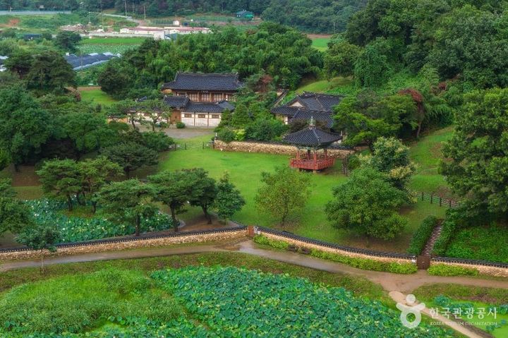 경기 시흥시 ‘연꽃테마파크’. (사진=한국관광공사) *재판매 및 DB 금지