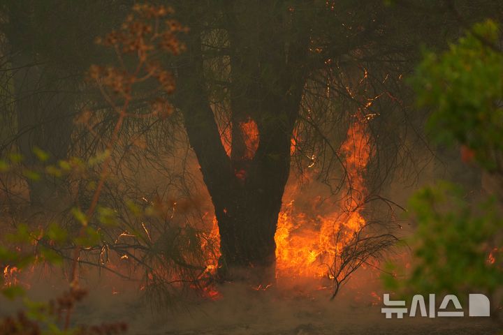 [AP/뉴시스] 26일 스페인 수도 마드리드 서쪽의 한 마을 산에서 산불에 나무가 벌겋게 타고 있다