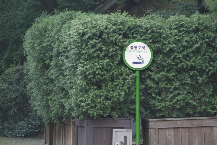 [서울=뉴시스] 대낮 서울 도심에서 중학생 무리로 보이는 청소년들이 길거리 흡연을 하는 모습이 포착되어 논란이 일고 있다. (사진 출처=유토이미지)