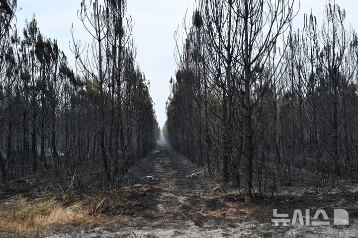 [AP/뉴시스] 27일 프랑스 남서부 지롱드현 주도 보르도시 외곽의 식재 숲에 화염 불은 죽고 잔불이 연기를 피우고 있다 