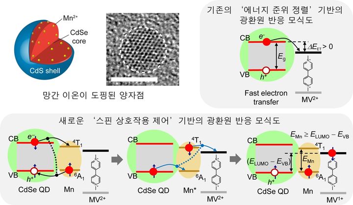 [울산=뉴시스] 망간의 스핀 교환을 통해 핫 전자 에너지를 광촉매(광환원) 반응에 쓰는 원리 (사진=UNIST 제공) photo@newsis.com *재판매 및 DB 금지