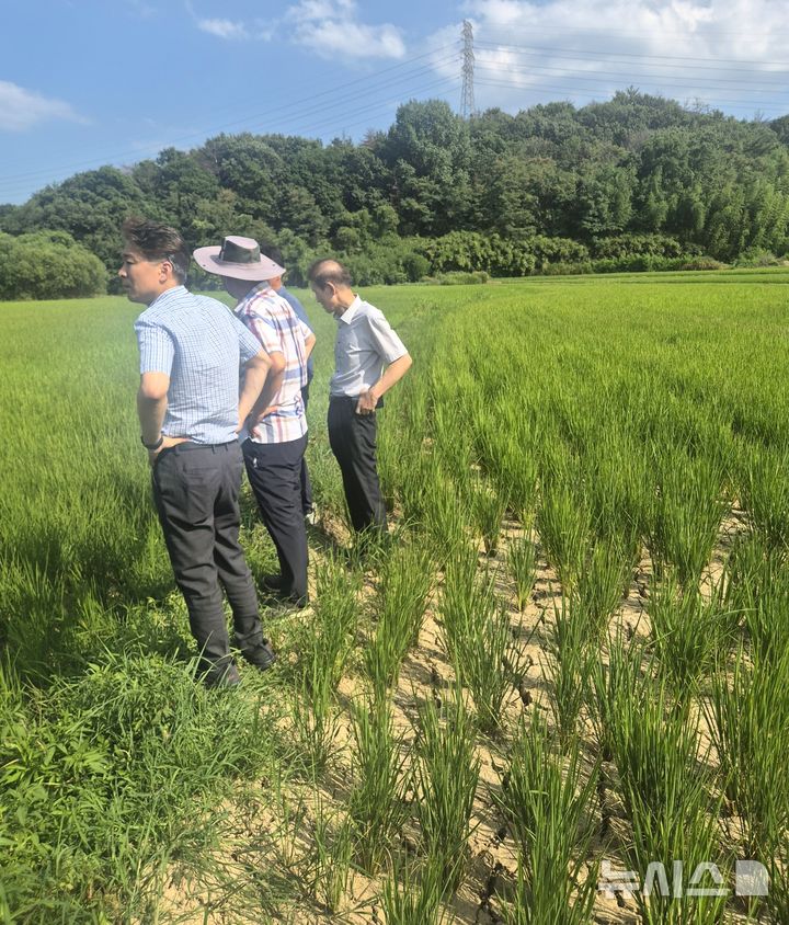 [포항=뉴시스] 정정득 남구청장 등 포항시 관계자가 논 바닥이 갈라진 가뭄 현장에서 시설 점검을 하고 있다. (사진=포항시 제공) 2026.07.27. photo@newsis.com