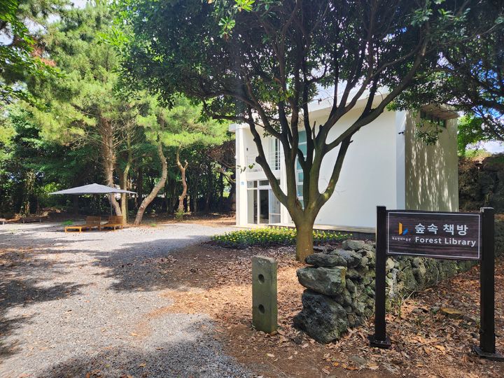 [제주=뉴시스] 제주도 제주현대미술관이 28일부터 야외 독서 공간 '숲속 책방'을 운영한다. (사진=제주도 제공) 2026.07.28. photo@newsis.com *재판매 및 DB 금지