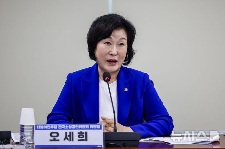 [서울=뉴시스] 정병혁 기자 = 오세희 더불어민주당 전국소상공인위원회 위원장이 지난달 28일 서울 여의도 국회 의원회관에서 열린 '한국경영기술지도사회 정책현안 간담회: 더불어민주당 전국소상공인위원회'에서 인사말을 하고 있다. 2026.08.19. jhope@newsis.com