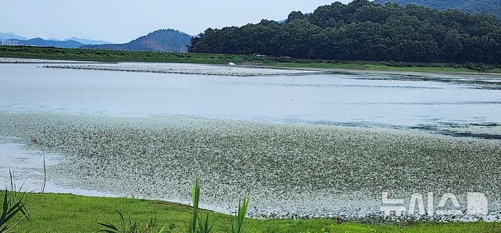 [창원=뉴시스]김기진 기자=가뭄이 심각한 밀양 부북면 가산저수지. 2026.07.29.sky@newsis.com