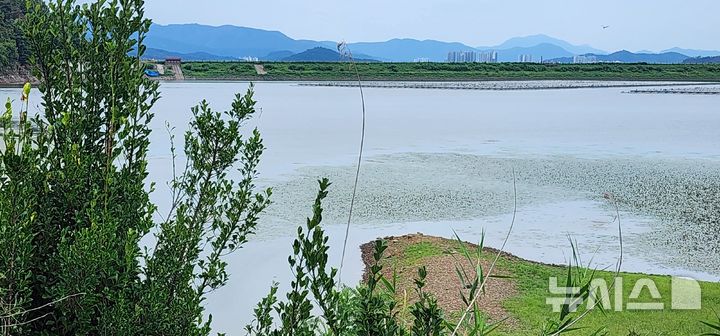 [창원=뉴시스]김기진 기자=가뭄이 심각한 밀양 부북면 가산저수지. 2026.07.29.sky@newsis.com 