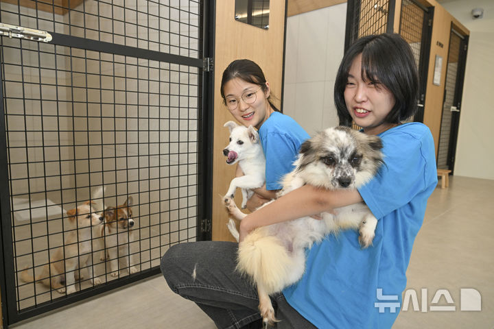 [전남광주=뉴시스] 전남광주통합특별시 동구가 고향사랑기부금으로 조성·운영 중인 광주 최초 유기견 입양센터 '피스멍멍'이 개소 1주년을 맞았다. 피스멍멍은 1년 동안 유기견 57마리에게 새로운 가족을 찾아줬다. (사진 = 전남광주 동구 제공) 2026.07.29. photo@newsis.com *재판매 및 DB 금지