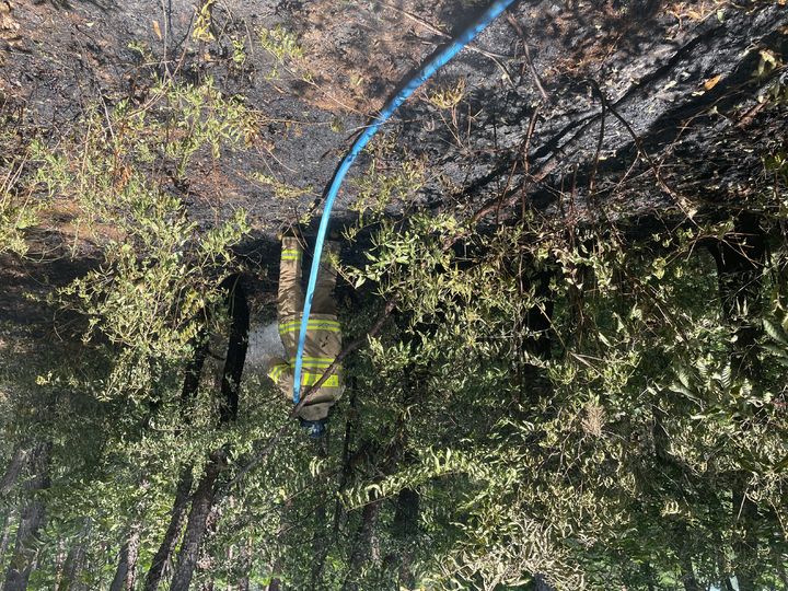 [울산=뉴시스] 29일 울산시 울주군 온양읍의 한 야산에서 발생한 화재를 진압하는 소방대원. (사진=울산소방본부 제공) 2026.07.29. photo@newsis.com *재판매 및 DB 금지