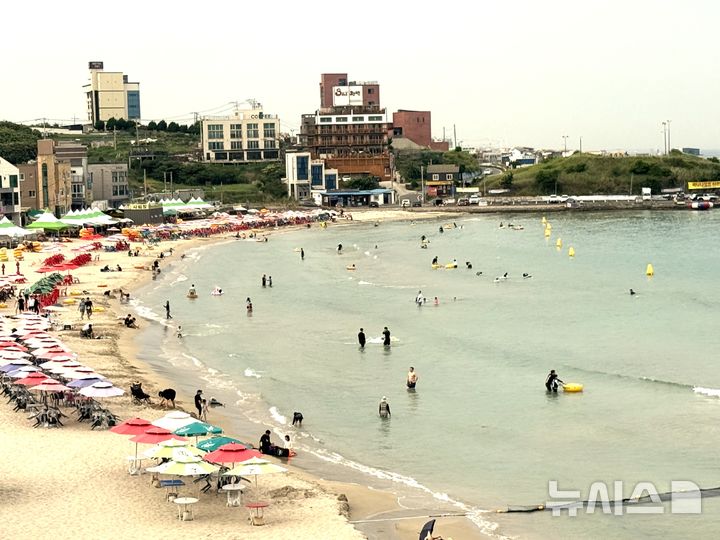 [포항=뉴시스] 안병철 기자 = 29일 경북 포항시 남구 구룡포 해수욕장에서 피서객들이 물놀이를 하고 있다. 2026.07.29. abc1571@newsis.com. 