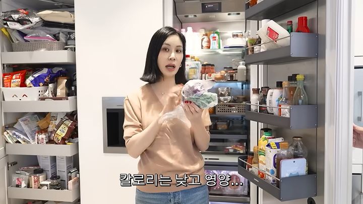 [서울=뉴시스](사진=고소영 유튜브 캡처)2026.07.30.