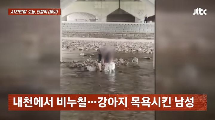 [서울=뉴시스] 지난 28일 JTBC '사건반장'은 고양시의 한 하천에서 반려견을 목욕시키는 한 남성의 영성을 공개했다. (사진=JTBC 사건반장 캡처)