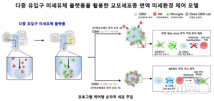 [서울=뉴시스] 다중 유입구 미세유체 플랫폼을 활용한 교모세포종 면역 미세환경 제어 모델. (사진= 서울대학교병원 제공)