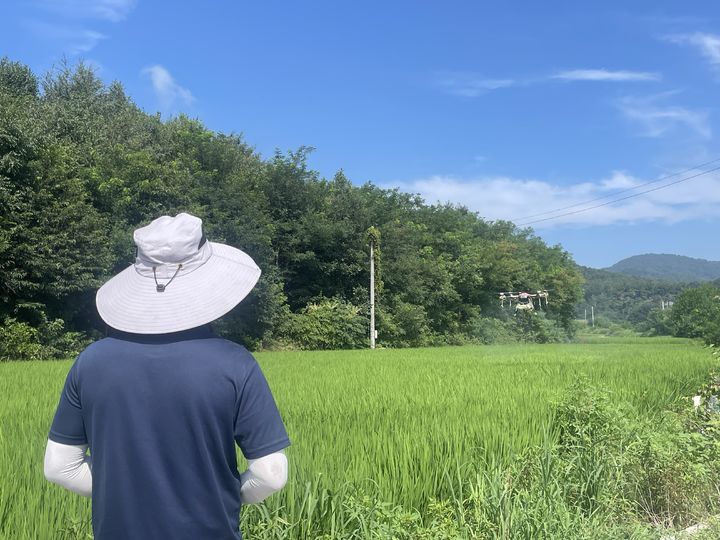 [용인=뉴시스] 용인시가 드론을 활용해 방제작업을 하고 있다. (사진=용인시 제공) 2026.07.31. photo@newsis.com *재판매 및 DB 금지