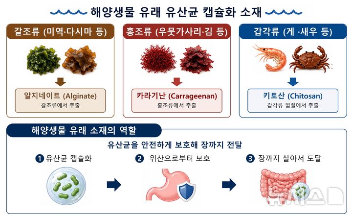 [서울=뉴시스] 해양생물 유래 주요 캡슐화 소재와 역할. (제공=국립해양생물자원관)