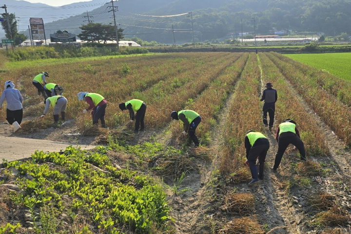 [보은소식]전국 초·중·고 육상대회 내달 6일 개막 등