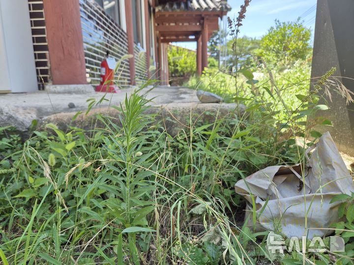 [울산=뉴시스] 이이벌역사문화관 주변으로 잡풀이 자라 있고 쓰레기가 버려져 있다. (사진=뉴시스 DB). photo@newsis.com 