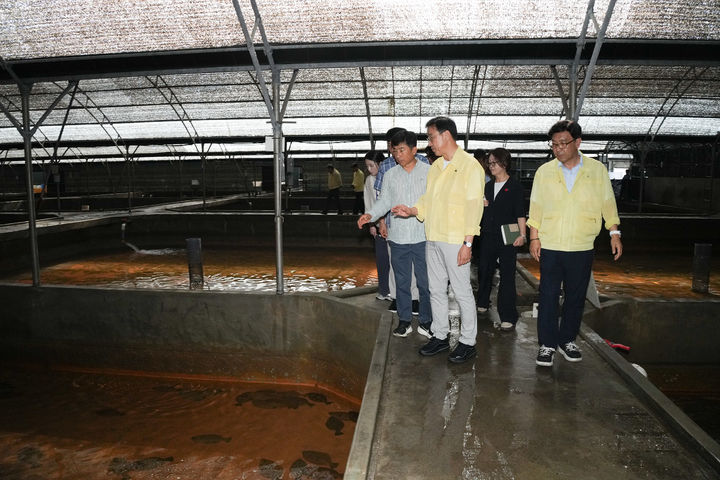 [제주=뉴시스] 위성곤 제주도지사가 1일 오후 서귀포시 대정읍 고수온 피해 양식어가를 찾아 현장을 점검하고 있다. (사진=제주도 제공) 2026.08.01. photo@newsis.com *재판매 및 DB 금지
