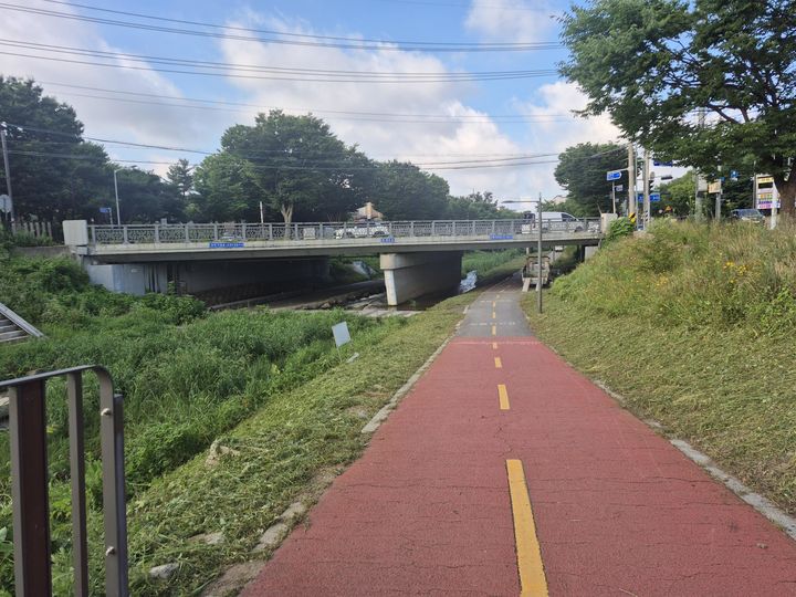 [안산=뉴시스] 제초작업이 완료된 화정천 산책로 일대 전경. (사진=안산시 제공) 2026.08.03. photo@newsis.com *재판매 및 DB 금지