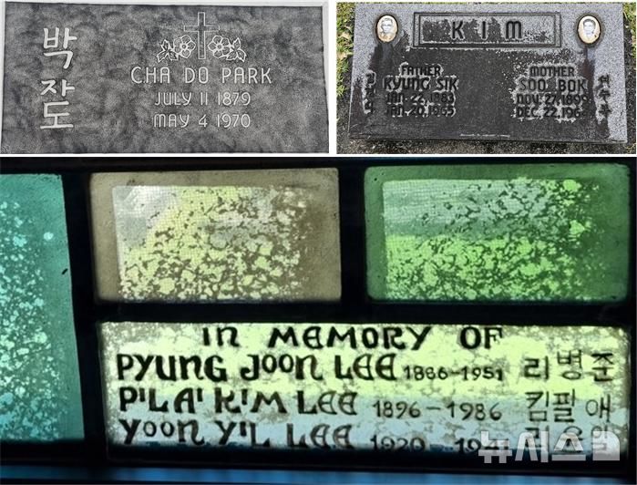 [창원=뉴시스]미국 하와이 빅아일랜드의 박자도 선생 묘비 탁본(위 사진 왼쪽), 하와이 빅아일랜드의 서수복 선생 묘비(위 사진 오른쪽), 하와이 코할라 교회 스테인드 그라스에 새겨져 있는 이병준 선생 가족 정보.(사진=국립창원대 한인디아스포라발굴조사단 제공) 2026.08.03. photo@newsis.com