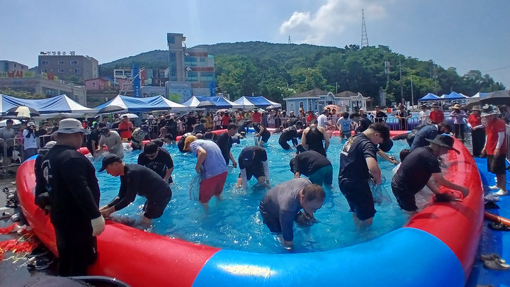 [서산=뉴시스] 지난 1일 충남 서산 대산읍 삼길포항 일원에서 열린 제20회 삼길포우럭축제장을 찾은 방문객들이 행사장 한켠에 마련된 맨손 붕장어 잡기 체험장에서 붕장어 잡기에 나서고 있다. (사진=서산시 제공) 2026.08.03. photo@newsis.com *재판매 및 DB 금지
