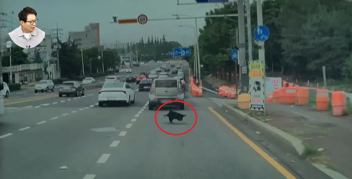[서울=뉴시스] 2일 교통사고 전문 한문철 변호사가 운영하는 유튜브 채널 '한문철TV'는 울산광역시 태화강 인근 도로에서 우산을 밟아 차가 파손됐다는 제보 영상을 공개했다. (사진=한문철TV 캡처)