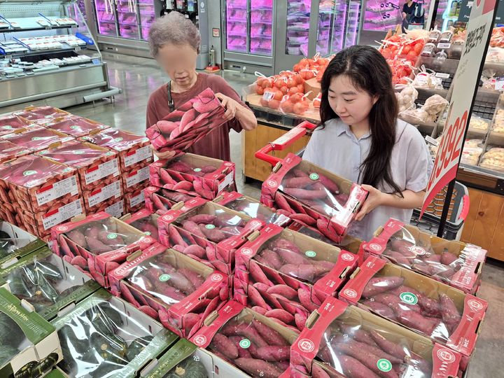 [서울=뉴시스] 롯데마트는 6일부터 12일까지 '햇호풍미 고구마(1.5kg)'와 '햇밤고구마(1.5kg)'를 각 7992원에 판매한다고 4일 밝혔다.(사진=롯데마트 제공) *재판매 및 DB 금지 *재판매 및 DB 금지