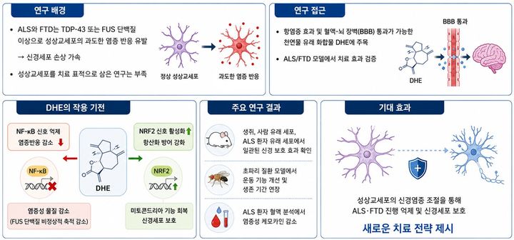 천연물서 '루게릭병·전측두엽치매' 치료 가능성 찾았다