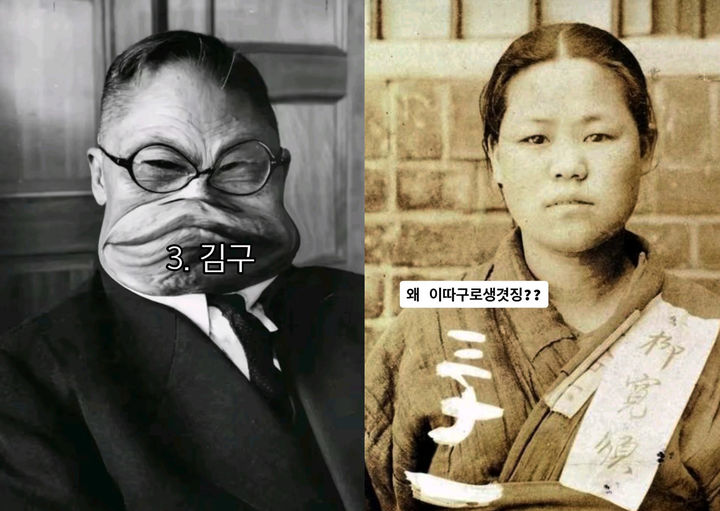 [서울=뉴시스] 독립운동가 조롱 게시물 (사진=서경덕 교수팀 제공) 2026.08.04. photo@newsis.com *재판매 및 DB 금지